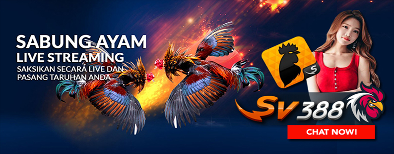 S128 Sabung Ayam | Situs S128 Sabung Ayam Online | Situs Sabung Ayam Online  S128 & SV388 Terpercaya | Situs Sabung Ayam Terpercaya